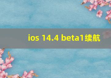 ios 14.4 beta1续航